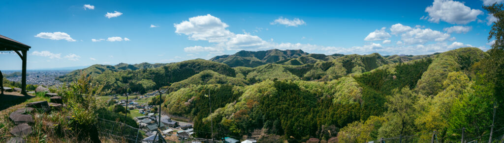 ワイン山頂上のパノラマ風景